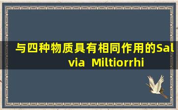 与四种物质具有相同作用的Salvia  Miltiorrhiza可以促进血液循环并消除斑点，解开三个燃烧器的气和血液，并改善质量和血液。